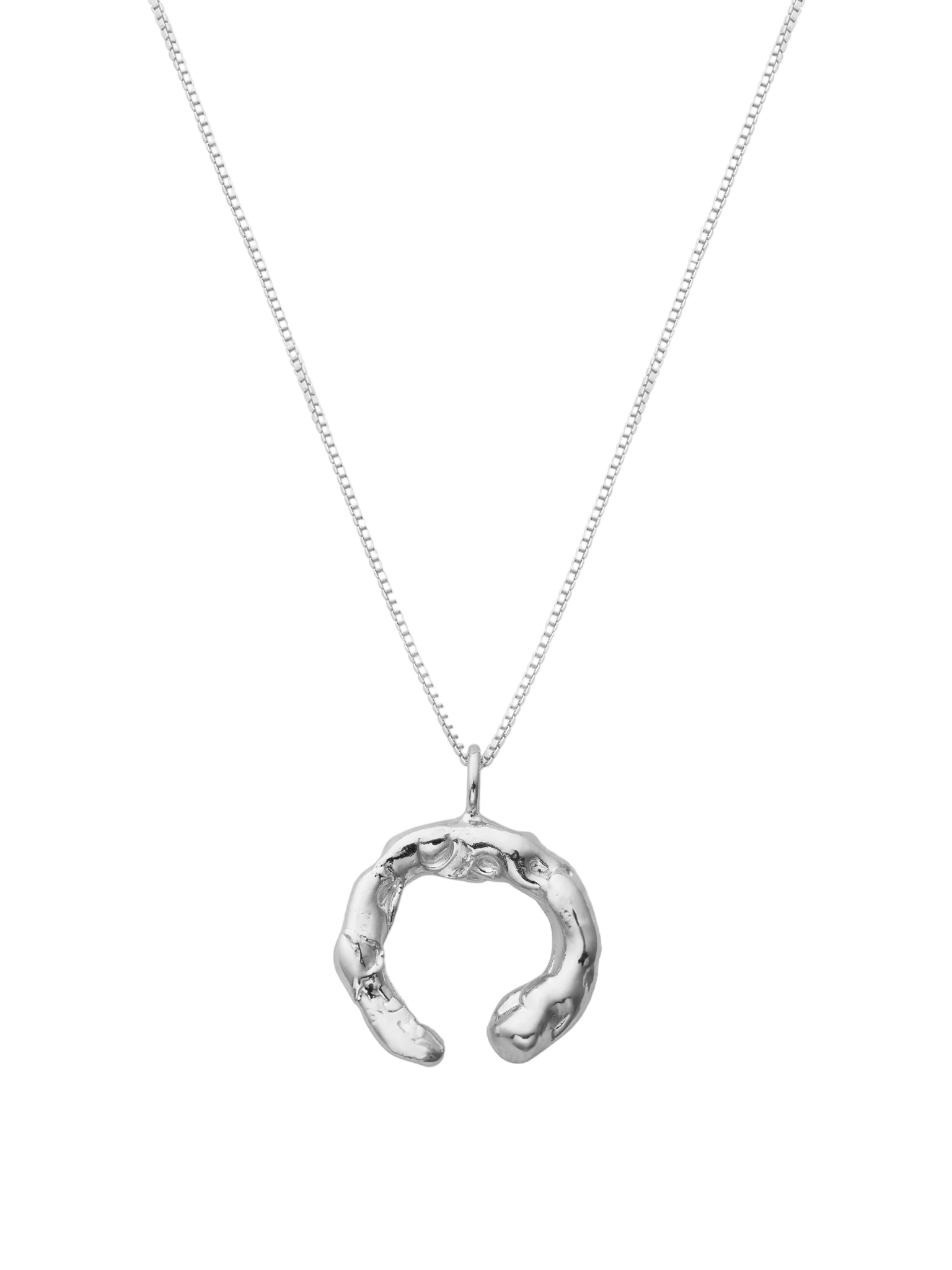 Talisman fortune necklace silver